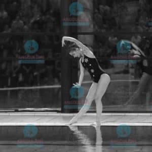 GH24 SJADE (7)