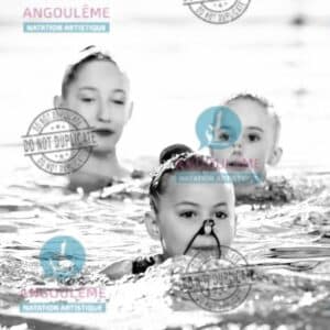 GE26-POUSSINES (16)