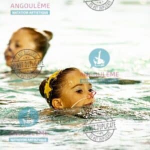 GE26-POUSSINES (24)