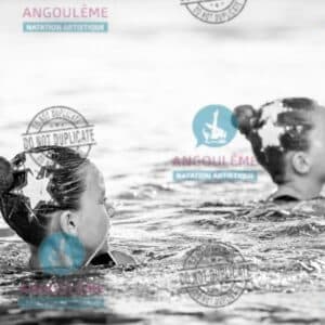 GE26-POUSSINES (41)