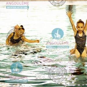 GE26-POUSSINES (45)