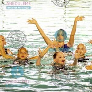 GE26-POUSSINES (49)