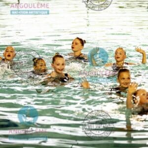 GE26-POUSSINES (53)