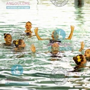 GE26-POUSSINES (54)